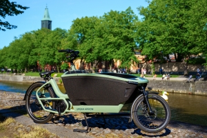 Gallery Image Thumbnail